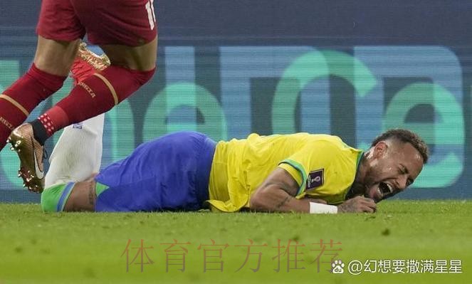 2026世界杯荷兰内马尔阵容解析深度解读